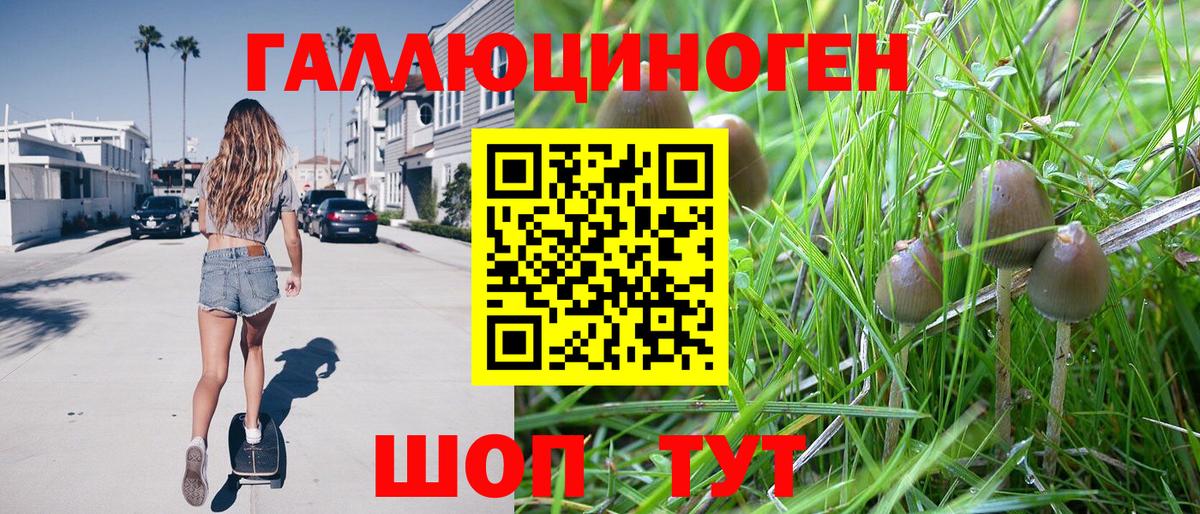Донской  Псилоцибиновые грибы прущие грибы  Вход с VPN 
