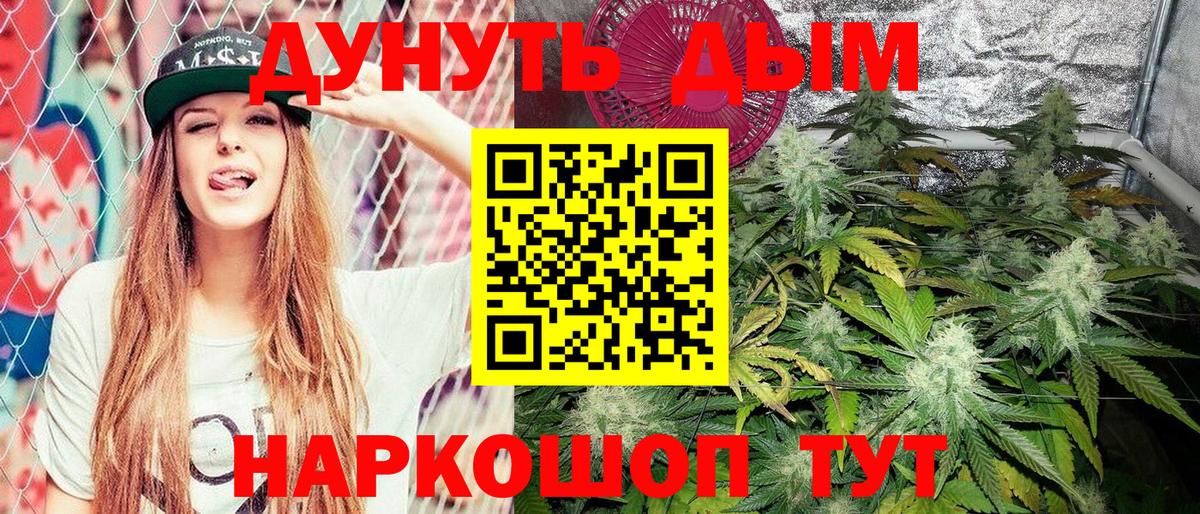 Бошки Шишки планчик  Конопля Ganja  Донской  Вход с VPN  Марихуана план  Бошки Шишки семена 